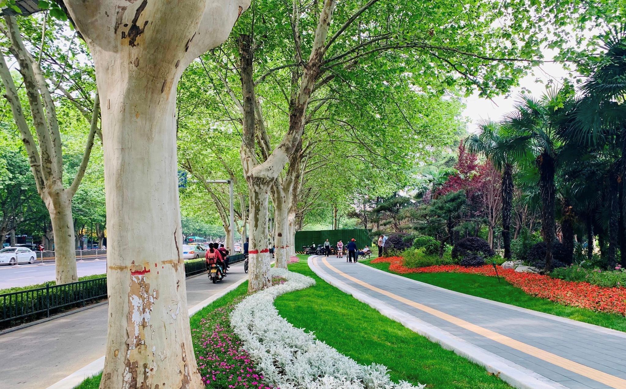 路上的阳光,路上的朝阳