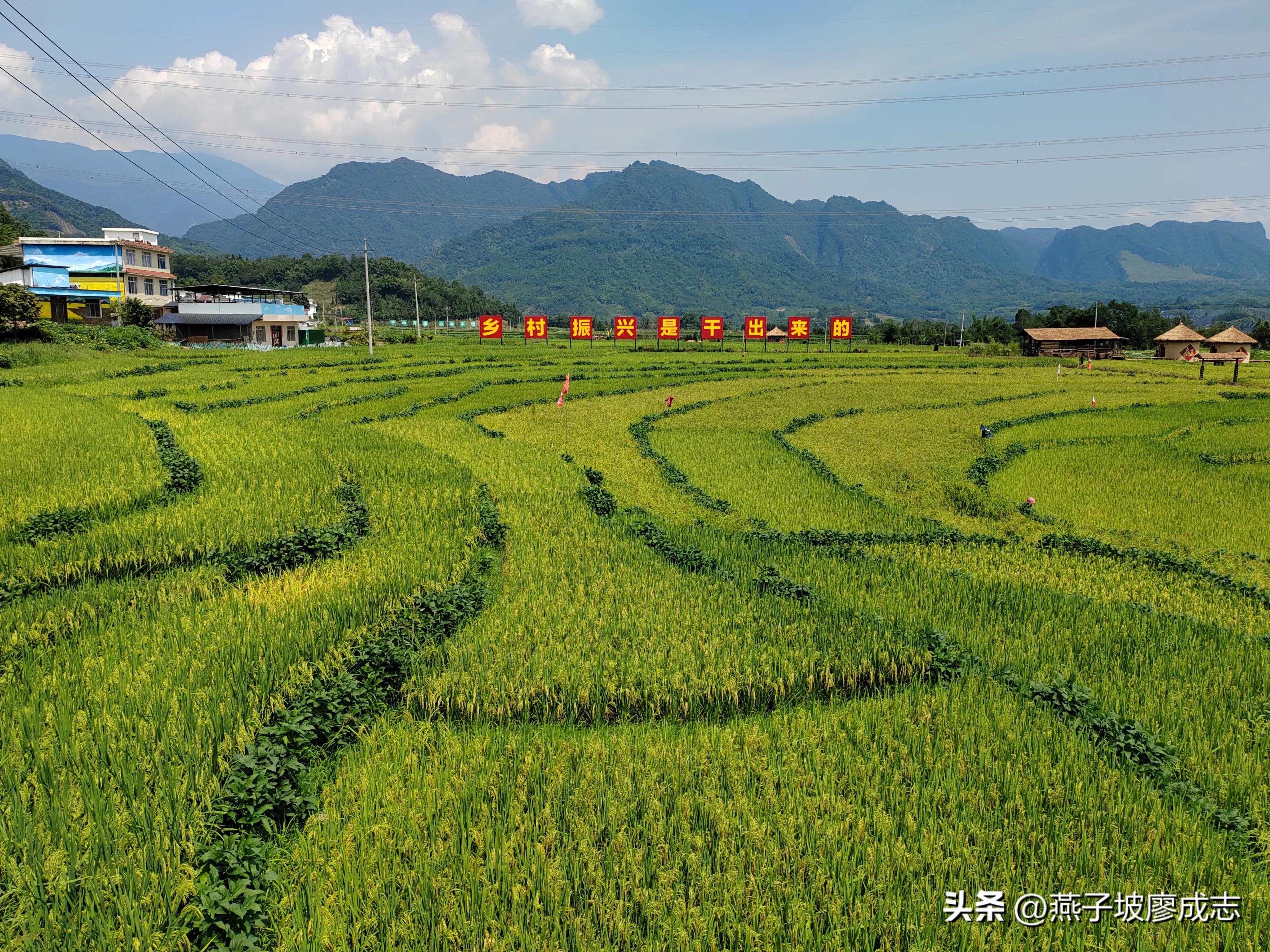 革命薪火,革命薪火代代相传绘画