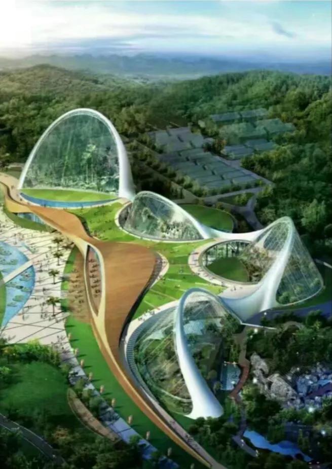 9代半雅阁2.0真实油耗,04年七代雅阁2.4百公里油耗多少升