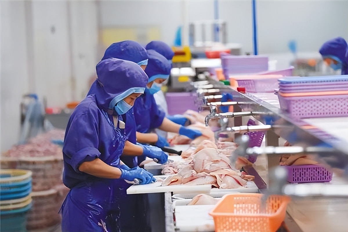 小狗狗粮哪个牌子好,低脂狗粮哪个牌子最好