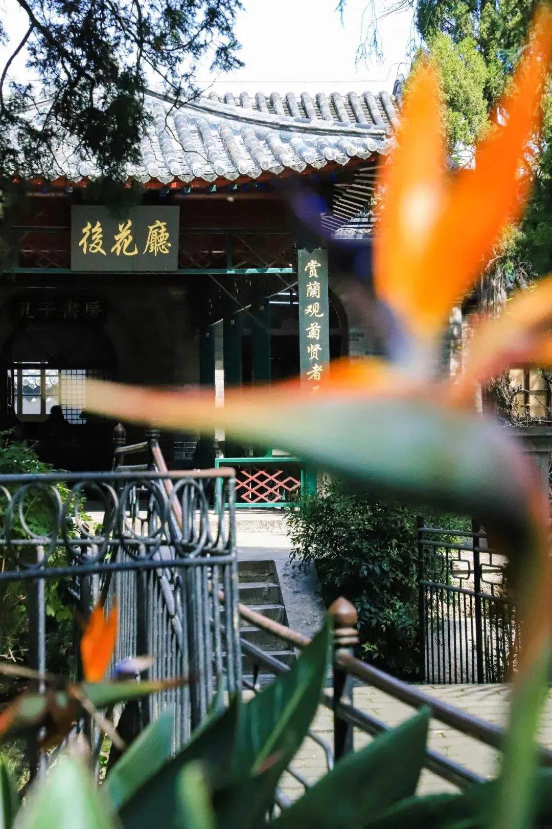 曲阜三孔纪行（作者：刘长玉）