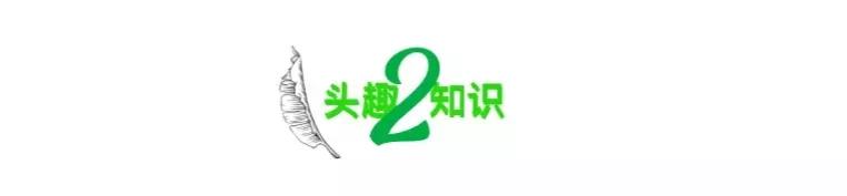 “女子想白嫖二手的LV围巾”冲上热搜，撕开当下社会多少人的贪婪