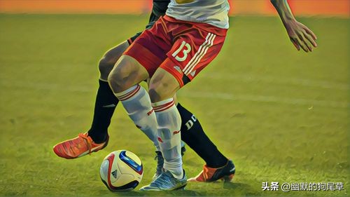 为什么足球是世界第一运动文章,足球和篮球哪个是世界第一运动