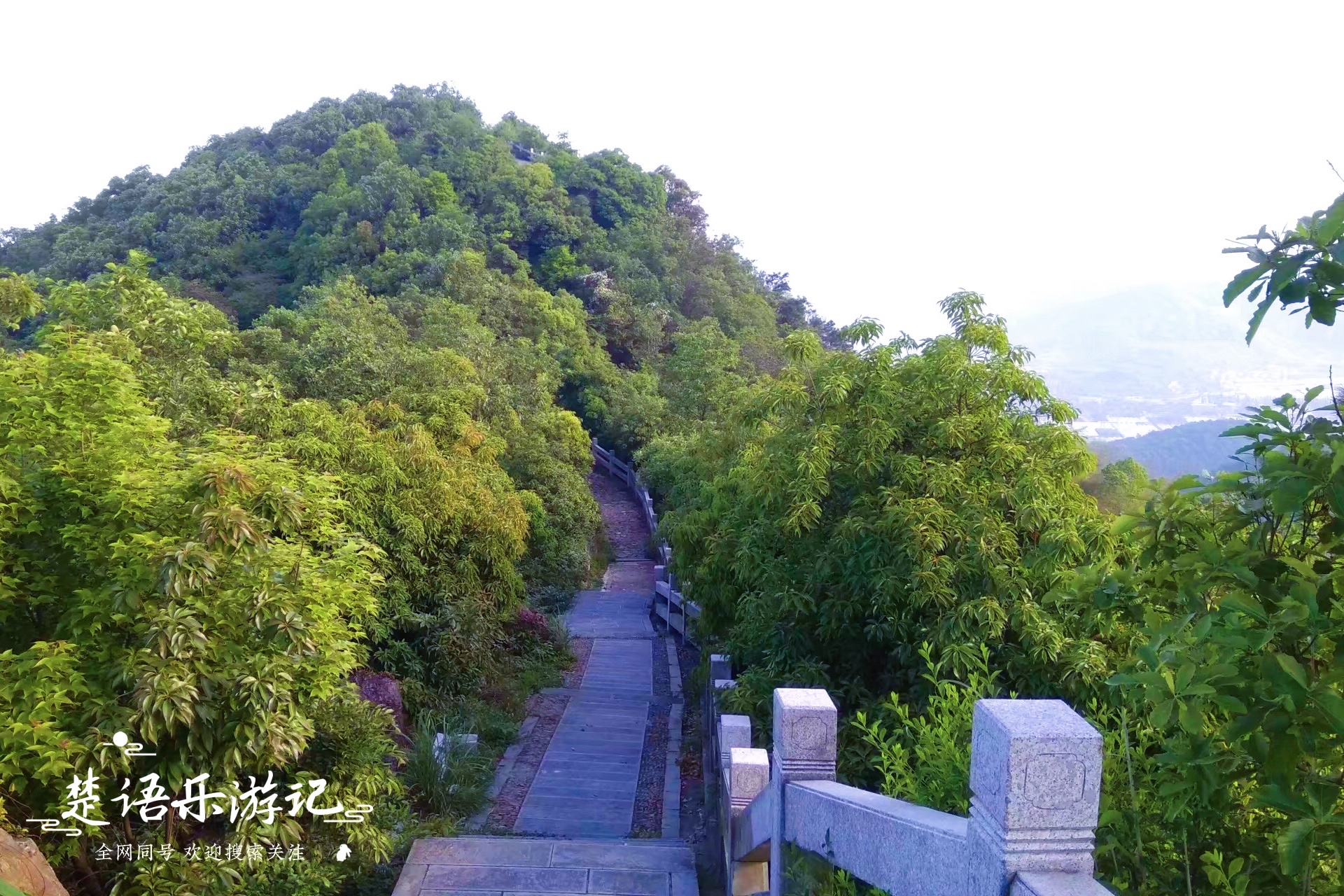 宁波这个网红景点不仅有花海，原来还是露营胜地，湖光山色美如画