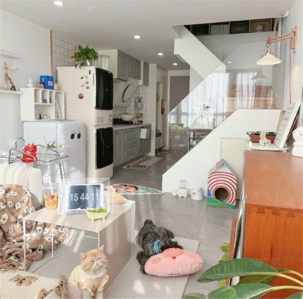 女生买25平公寓丢脸吗,90后姑娘买了一个20年老房子