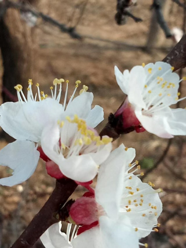 山东作为孔孟之乡山东人怎么样,好客山东孔孟之乡礼仪之邦