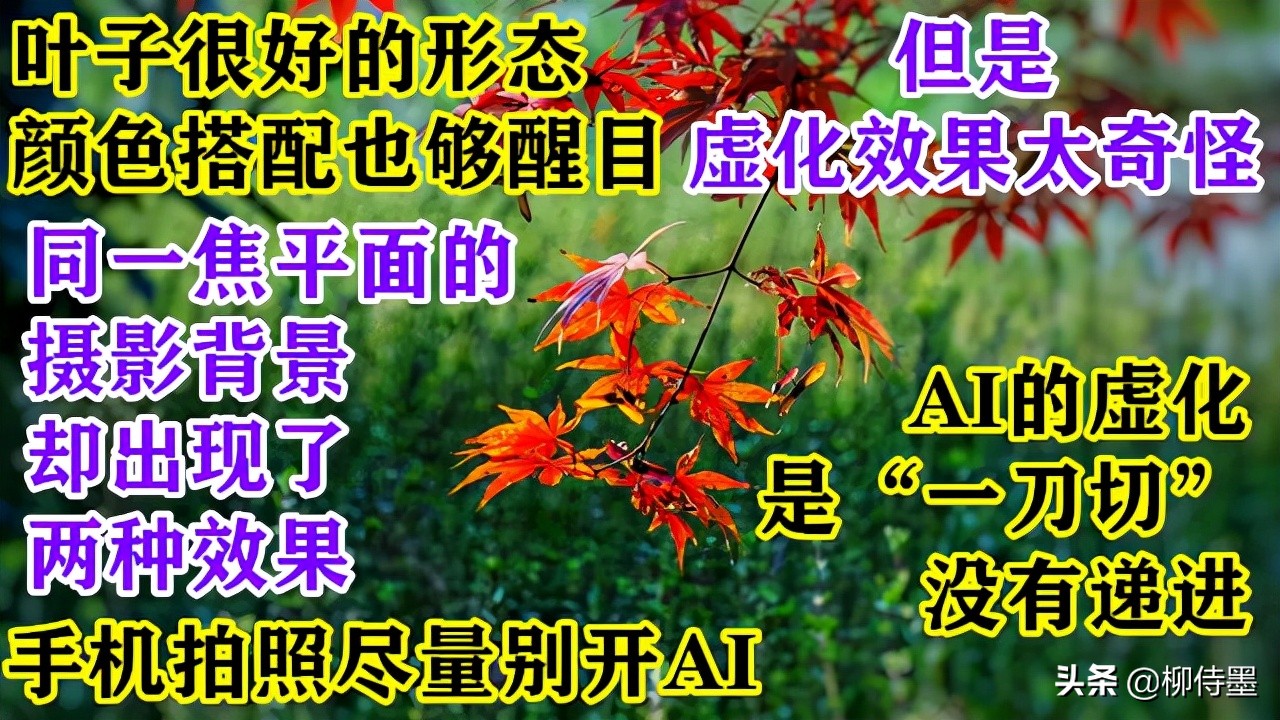 拍照不好看只要学会这些小技巧,摄影大师教你拍照技巧