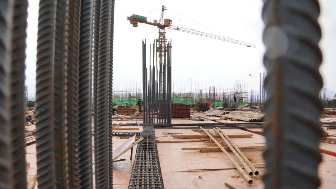 中农智慧冷链商贸城项目,中农智慧冷链贸易集散中心项目