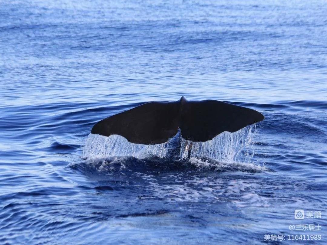 台湾30天游记,台湾半岛游记