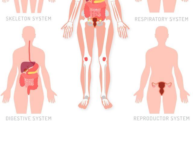 痔疮在中国分布情况,全国痔疮分布