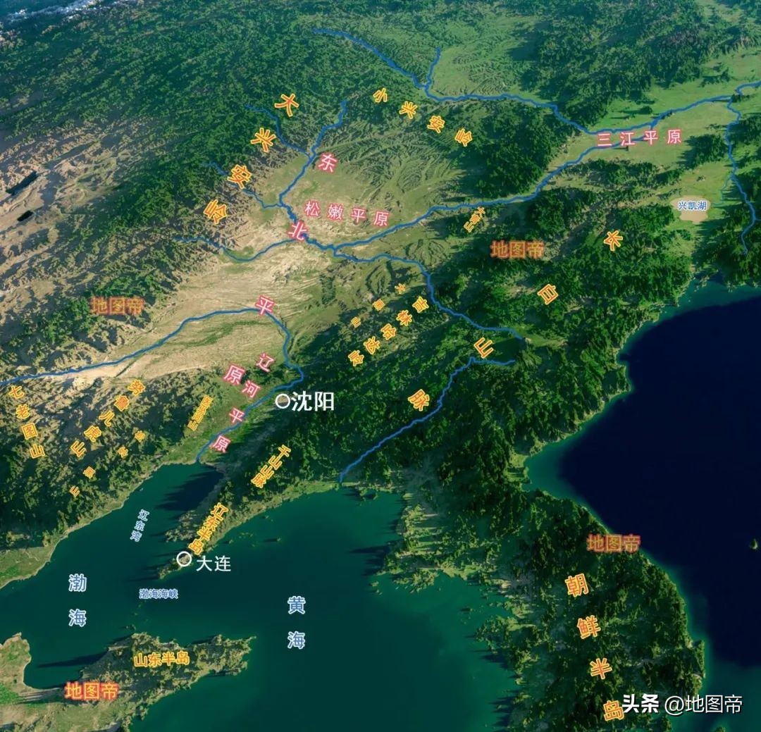 日本东北时张学良为何不出兵,张学良关于日本侵占东三省的讲话