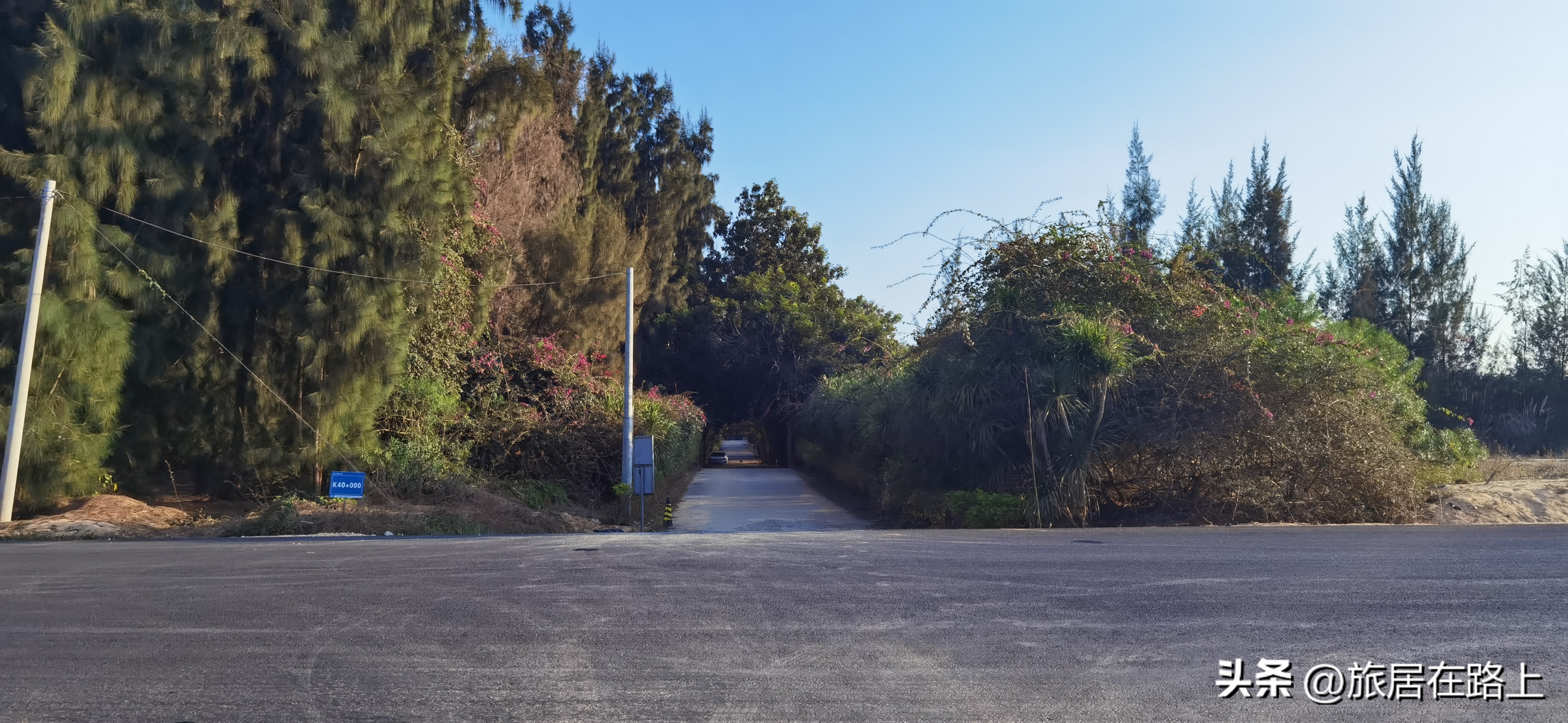 棋子湾上的仙人掌,海南棋子湾旅游攻略一日游