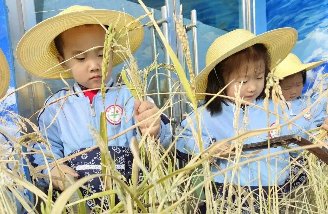 陕西省2019年示范幼儿园公示,陕西省级示范幼儿园评估标准