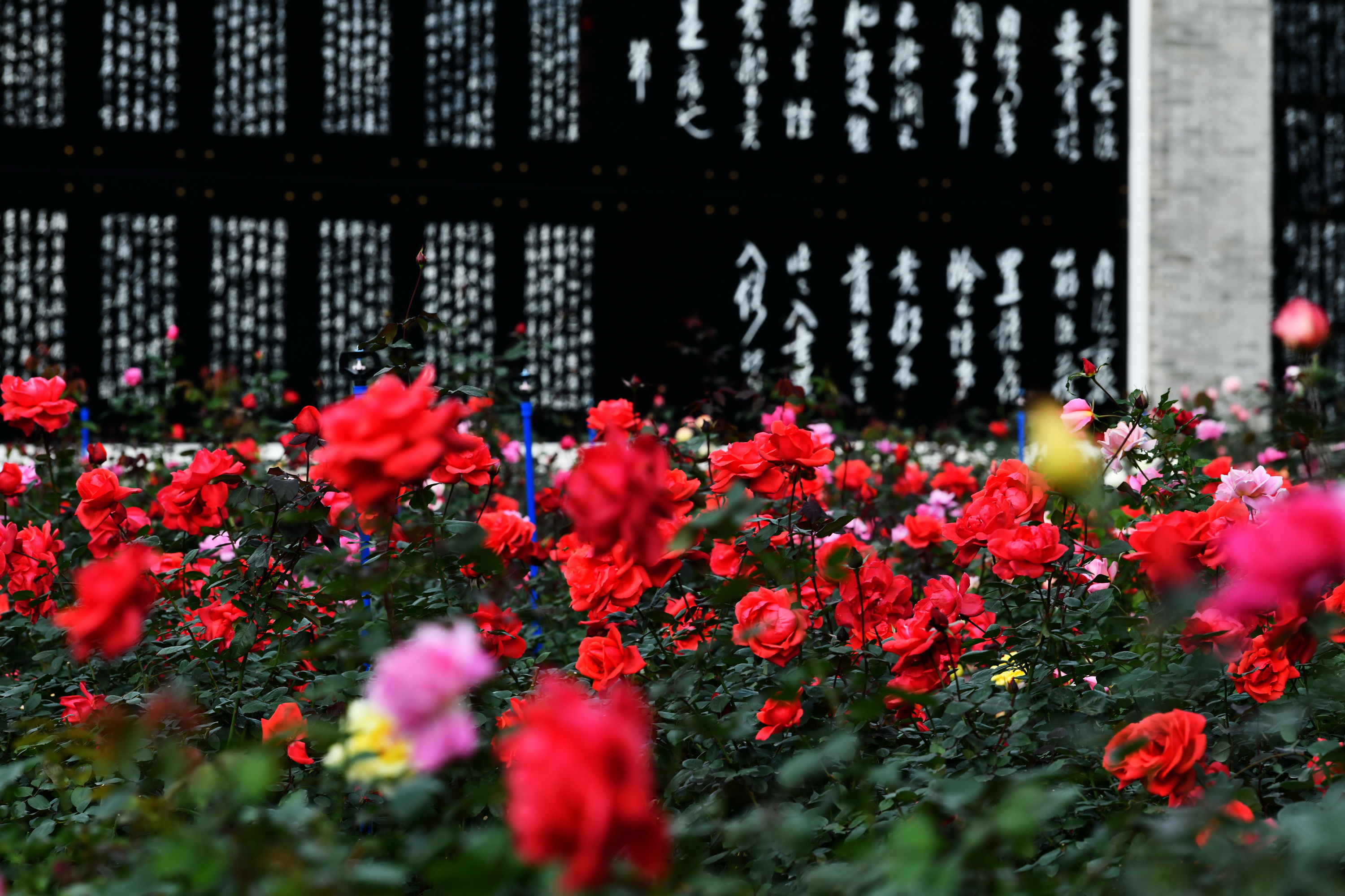 广州市番禺区宝墨园攻略,广州宝墨园景观