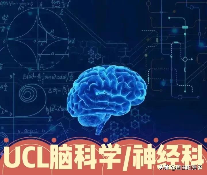 一位文科生逆袭剑桥脑科学博士