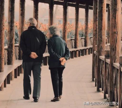 父母在尚有去处父母去只剩归途,人生尚有来处父母去只剩归途