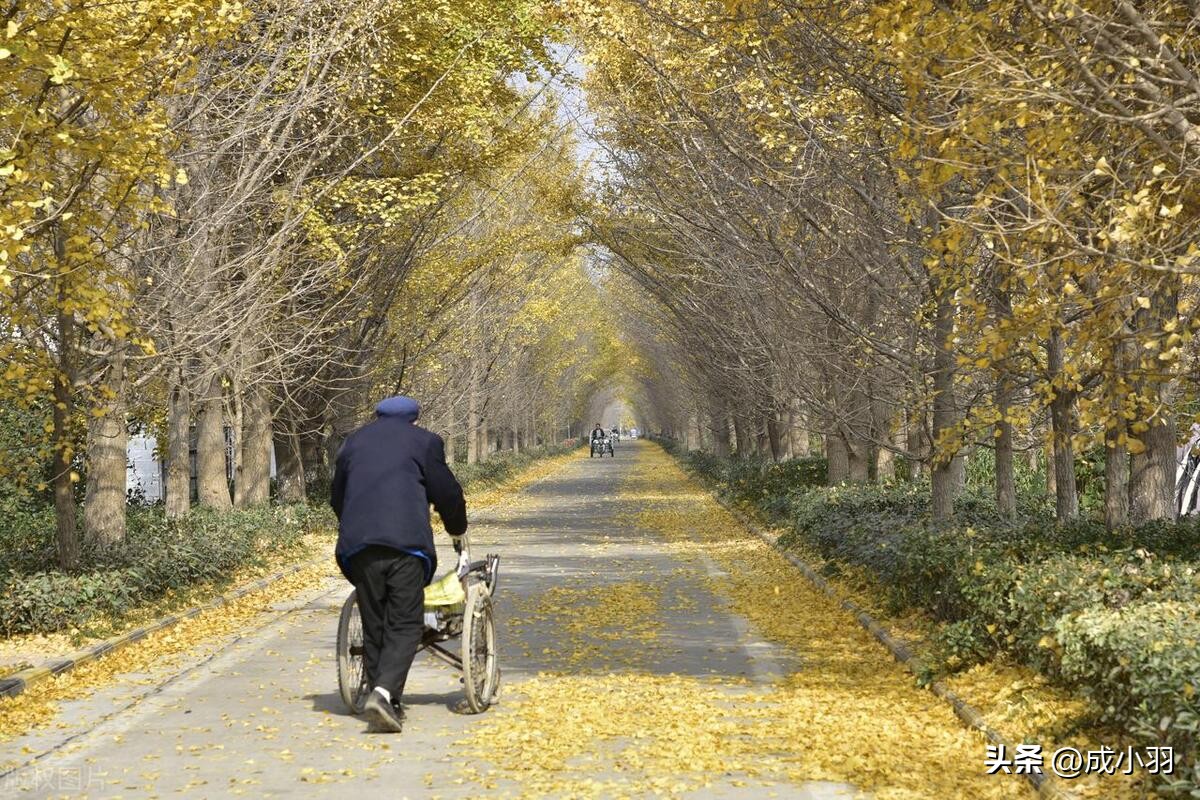 小时候母亲的谩骂对女儿的影响,父母对我总是恶语相加