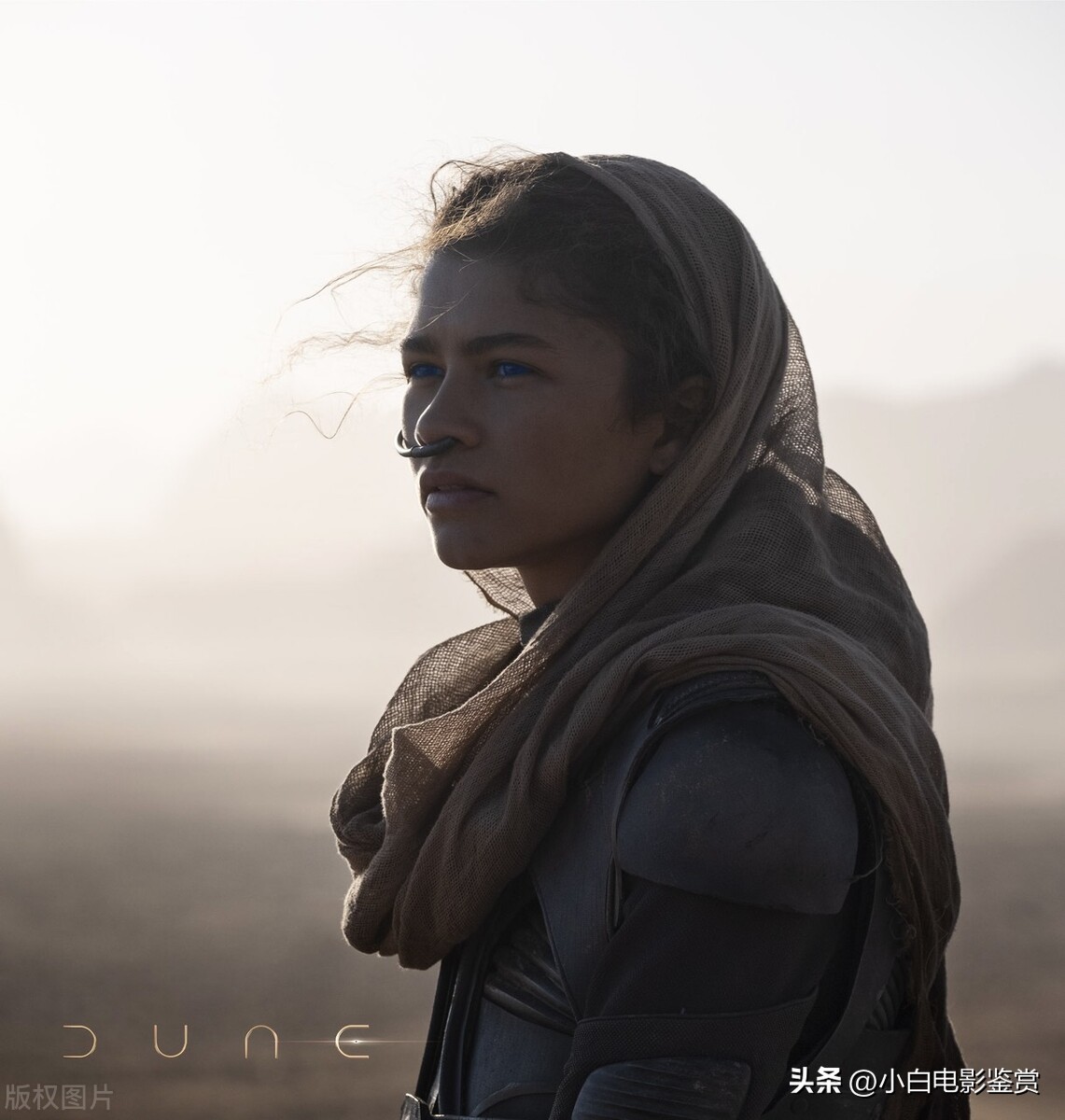 《沙丘》：探索权力与信仰的壮丽科幻之旅