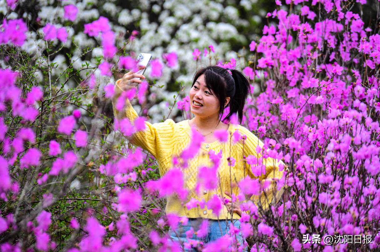 文旅融合盛宴,五一各地文旅争奇斗艳