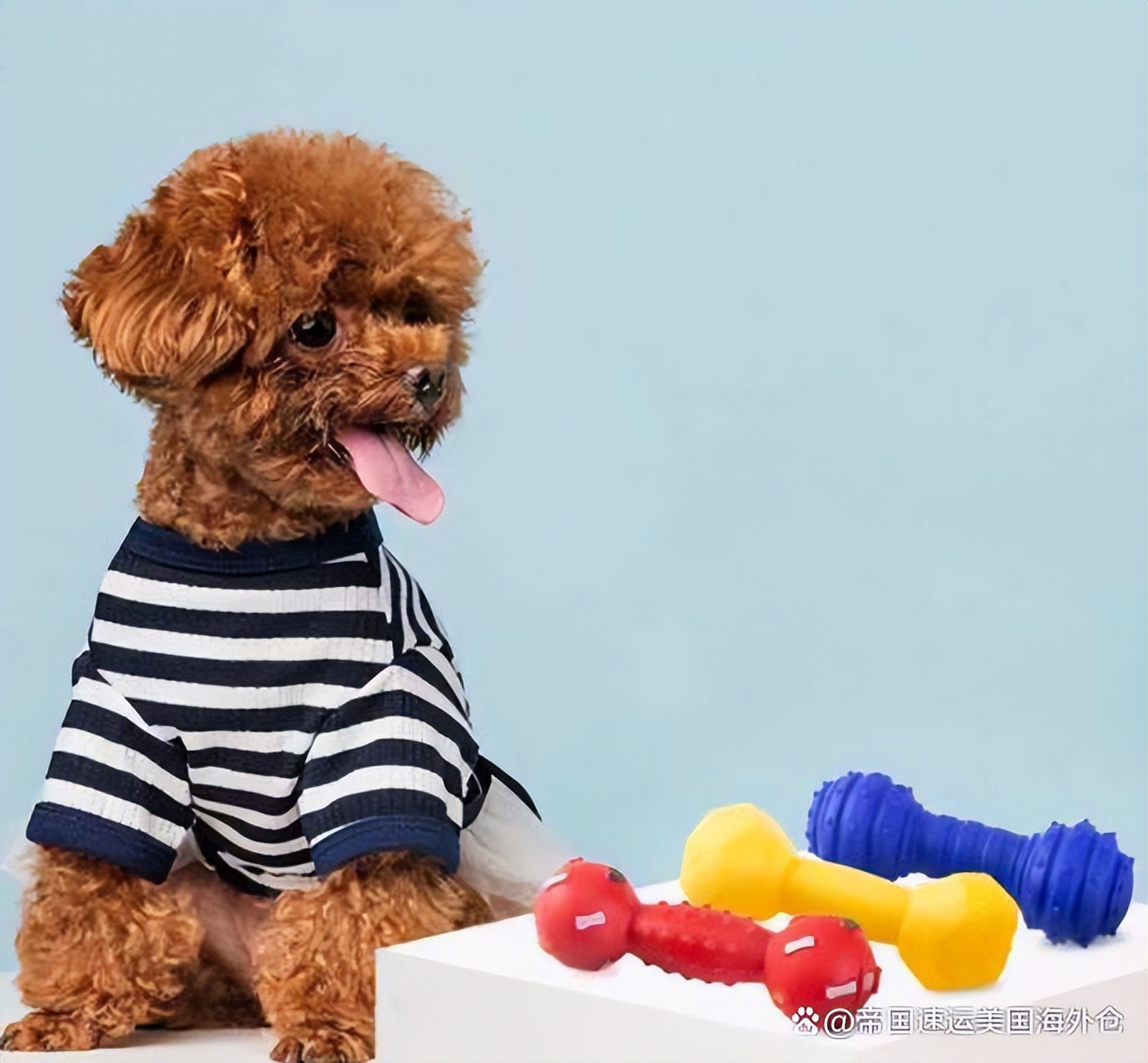 宠物用品海外仓一件代发哪家正规,宠物用品海外仓一件代发推荐