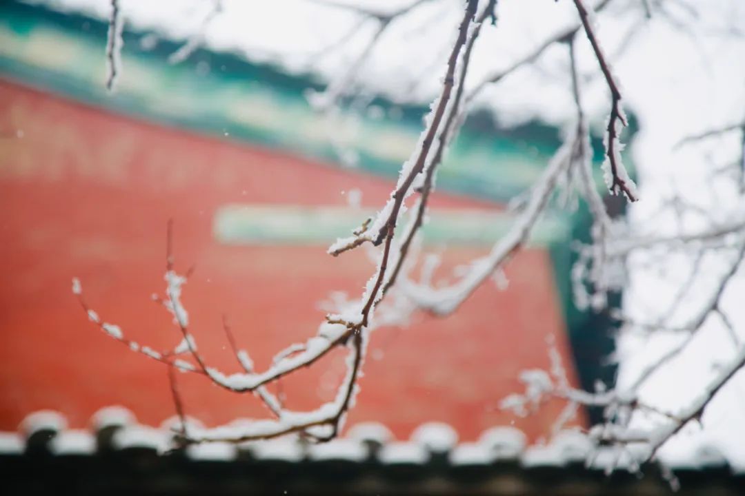 冬日诗词里雪的十种美,36首冬雪诗词带你感受冬日的雪