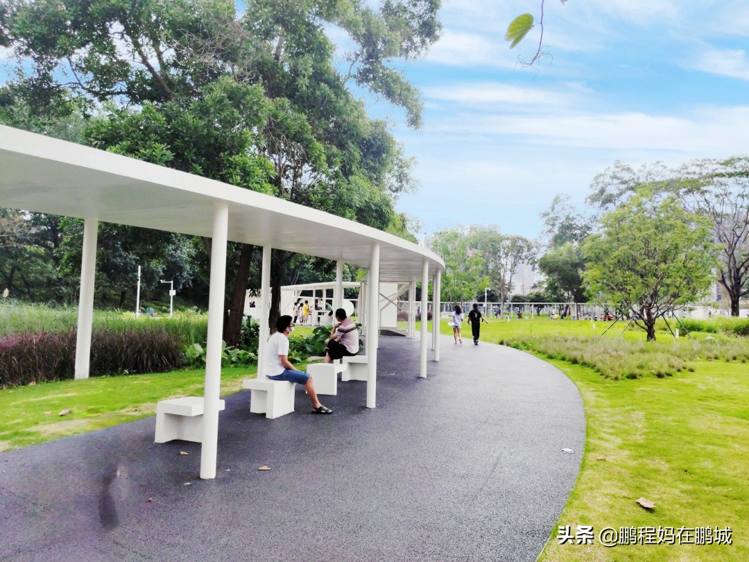 深圳龙华区观澜中心公园,龙华观澜中心公园