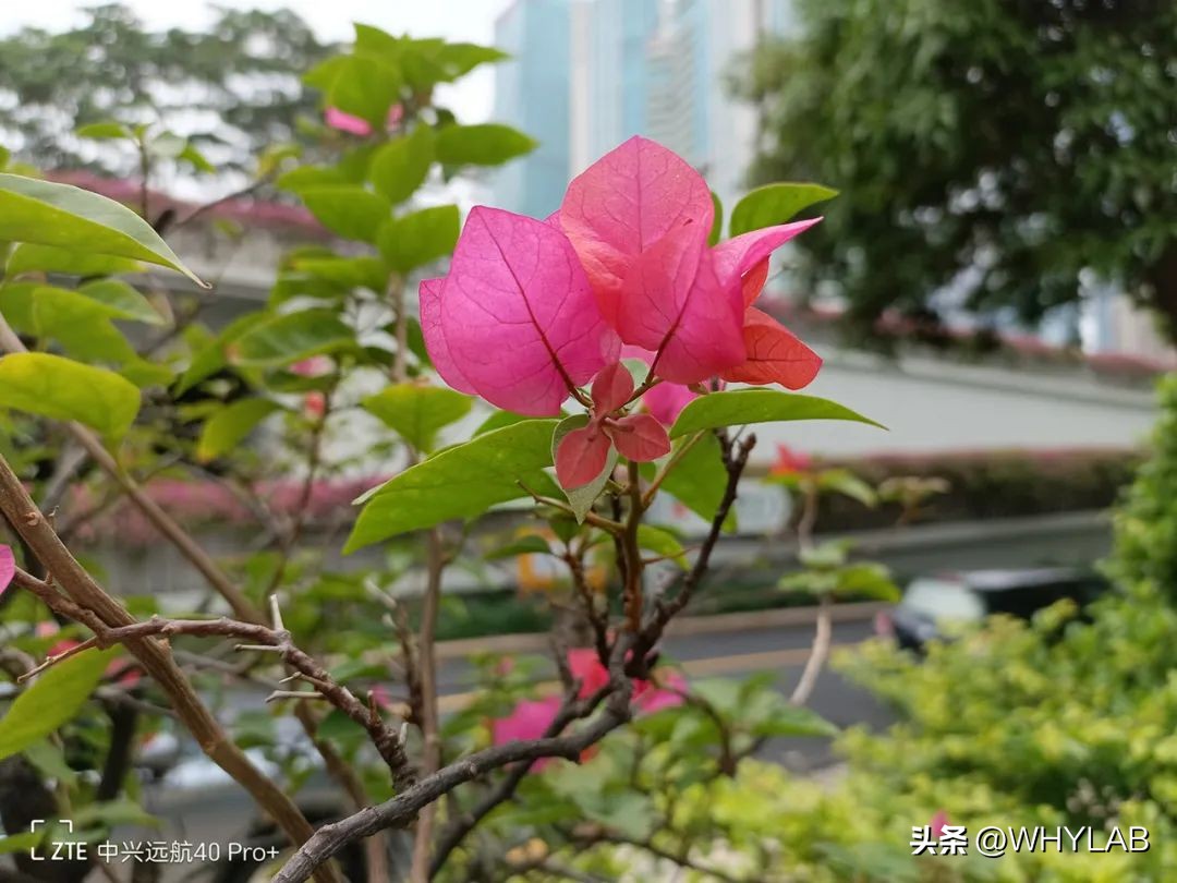 中兴远航40pro的优点和缺点,中兴远航40pro是什么制式