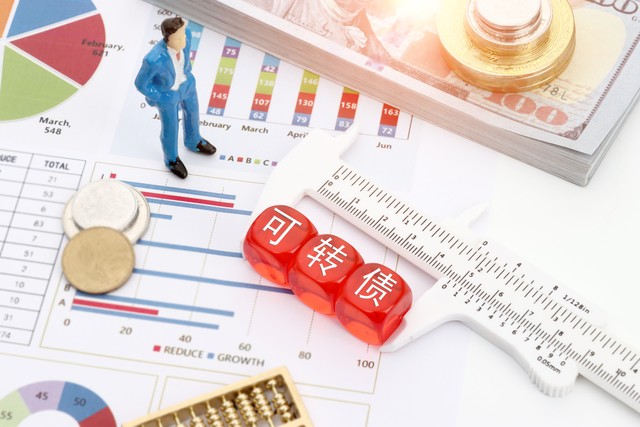 公开发行证券的公司信息披露准则,公司发行股票的原则