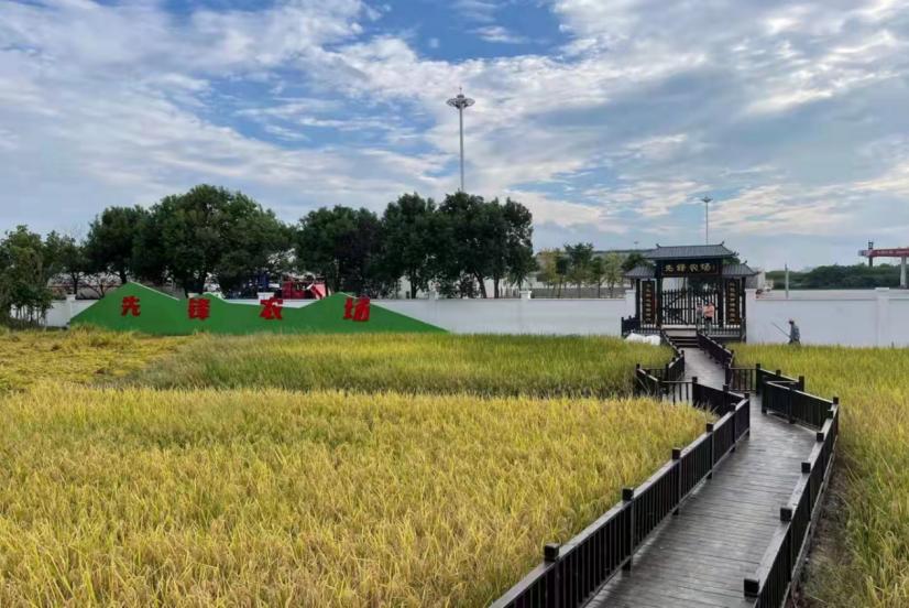 合肥五一旅游超全攻略,合肥五一出游攻略