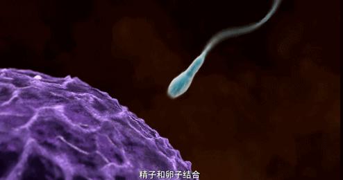 这片戳中5000万中国人的“隐痛”，仅出6集，太真实了，看完扎心