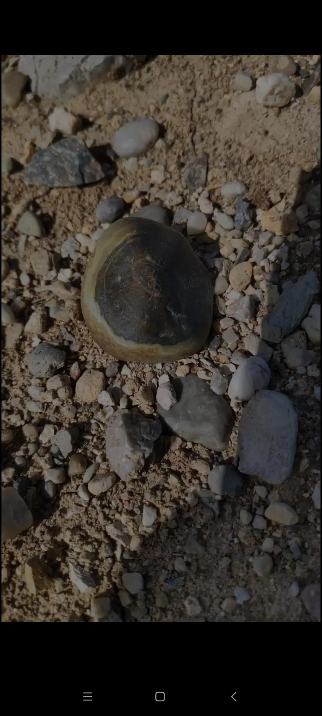 去戈壁捡石头,新疆戈壁捡石头