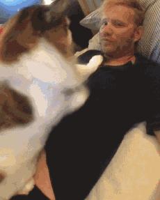 猫咪的寿命最多能活到多大呢,猫咪寿命排行榜之短命猫