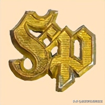 二战德国军官学历,二战德国上将级军官