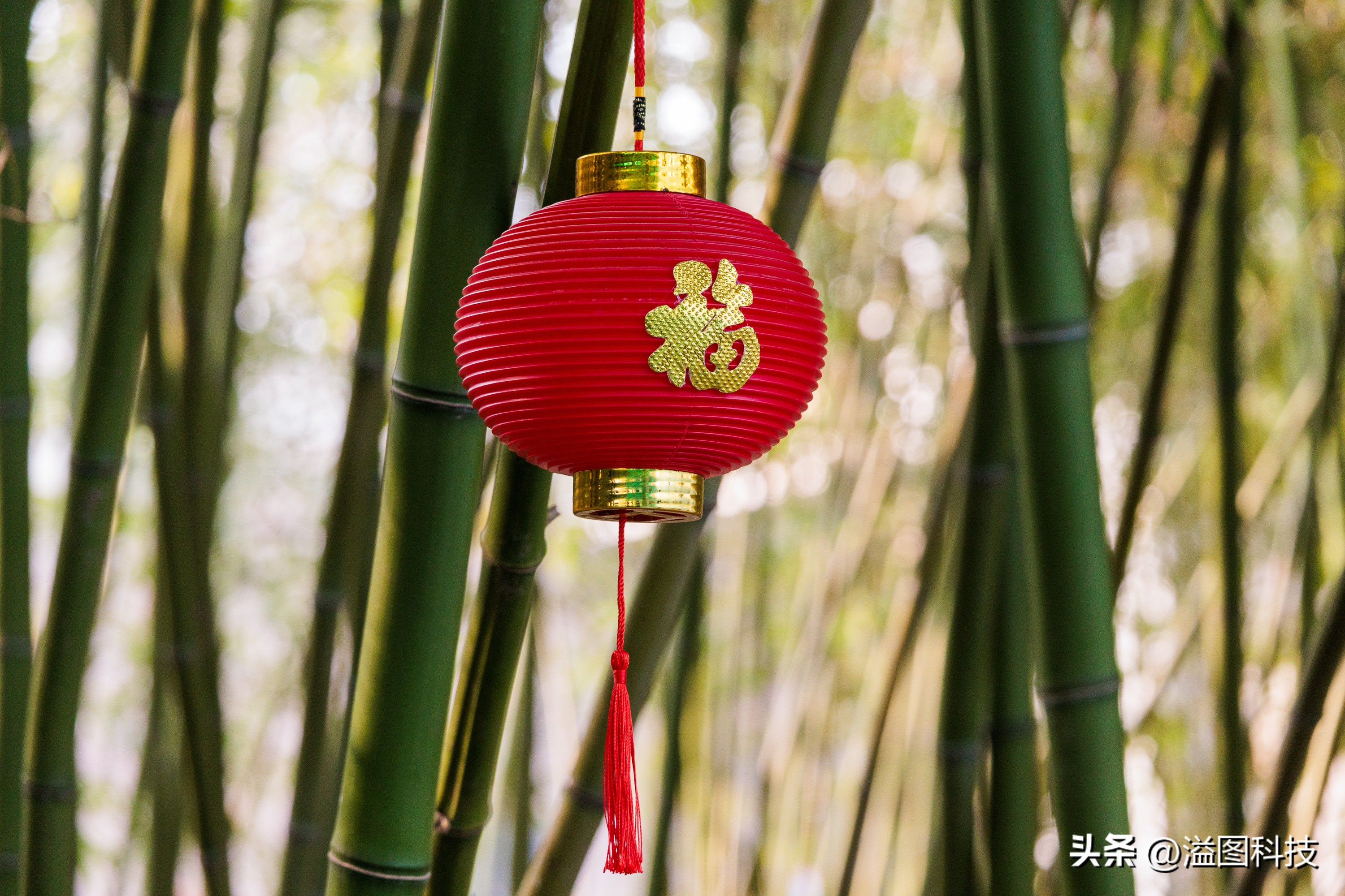 佳能rf-s55-210mm,和儿子感受大自然的气息和美景