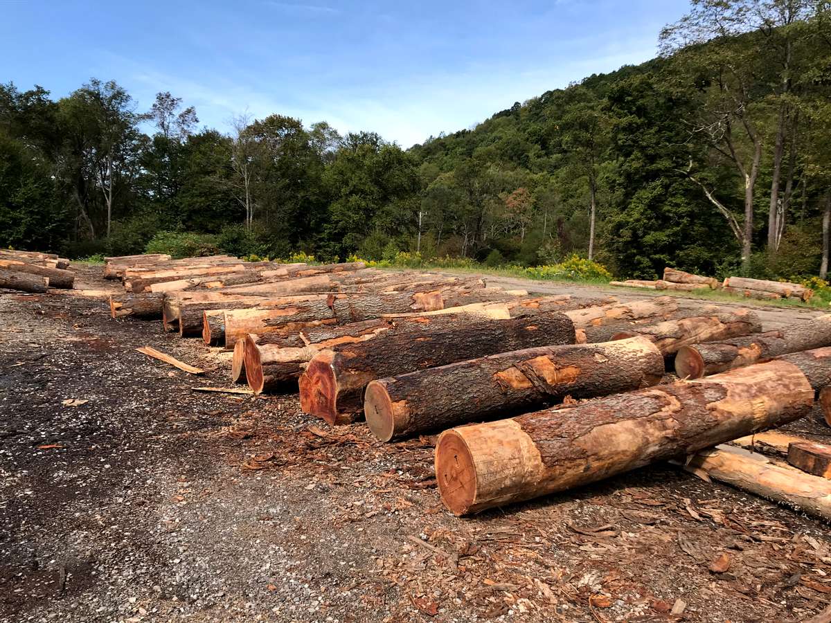 北美黑胡桃实木家具捡漏,徐州黑胡桃实木家具定制