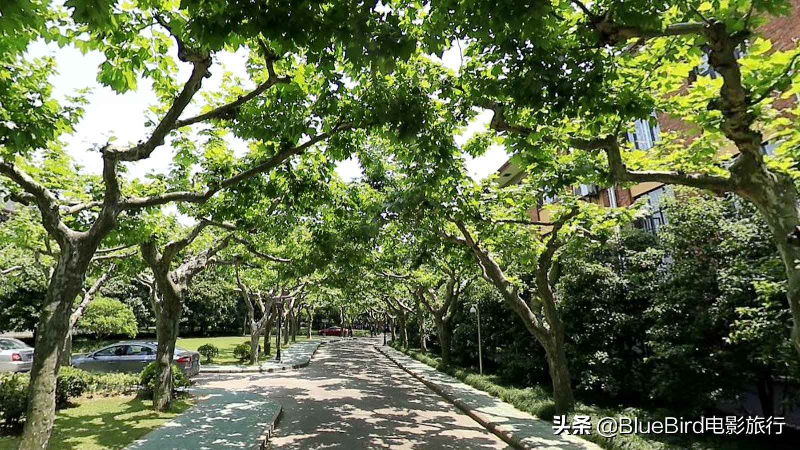 《何以笙箫默》取景地合集：何以爱恋游苏沪，琴瑟鸣于上师大2