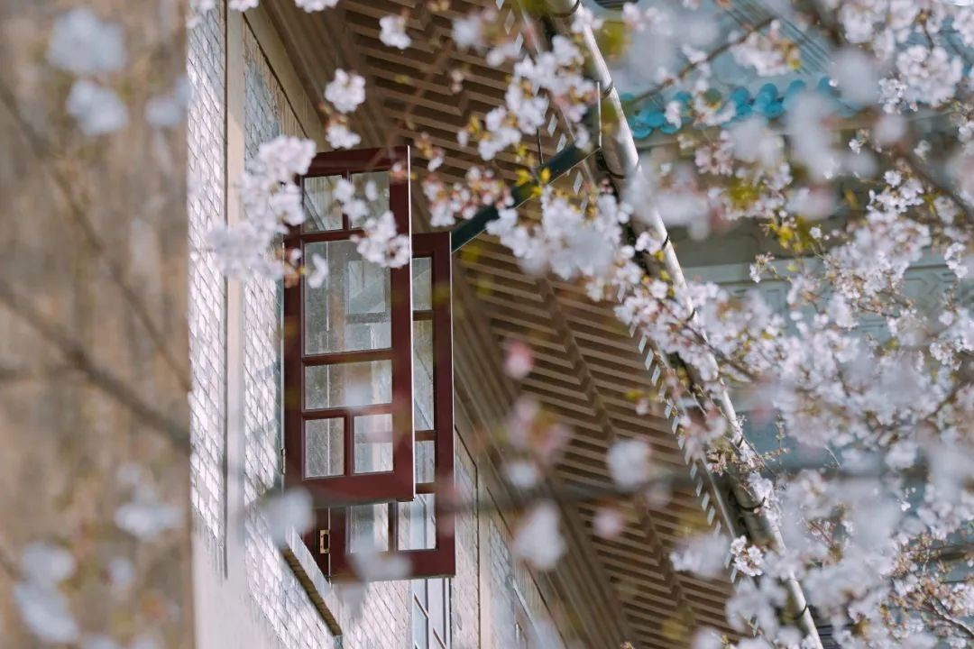 一个字奖10万元！这一“冷门绝学”再上热搜，武汉大学已开设相关专业！