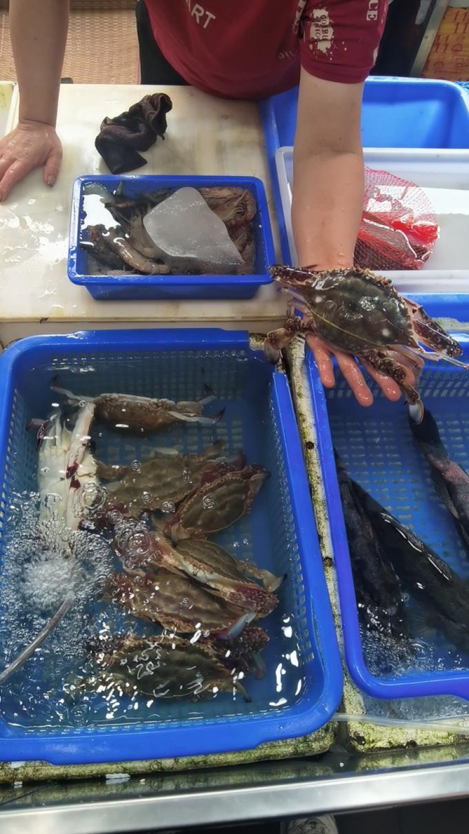 第一批东海梭子蟹抵达上海,预制菜梭子蟹