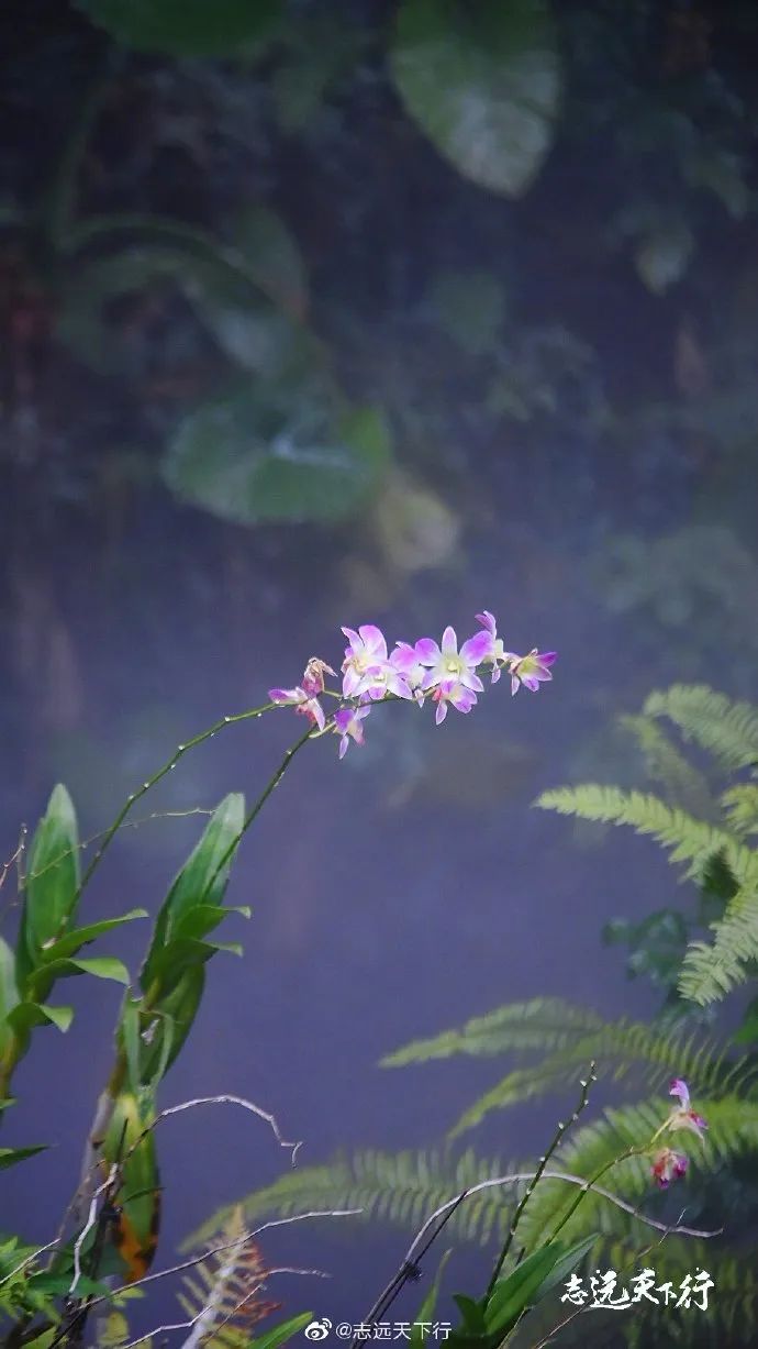 【闽山闽水物华新】又挖到宝藏旅游线路了！这份厦门两天一夜游玩攻略你一定要收藏！