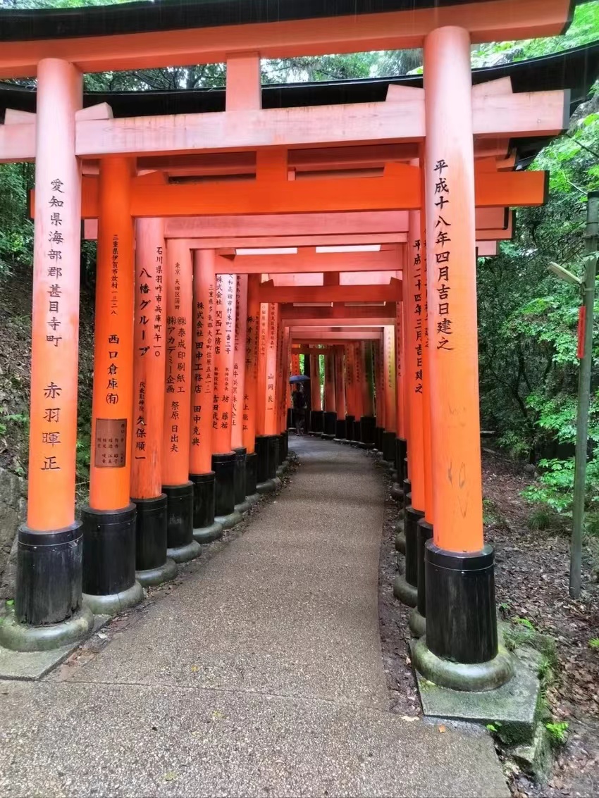 小学生去日本旅游攻略,坐游轮去日本旅游攻略