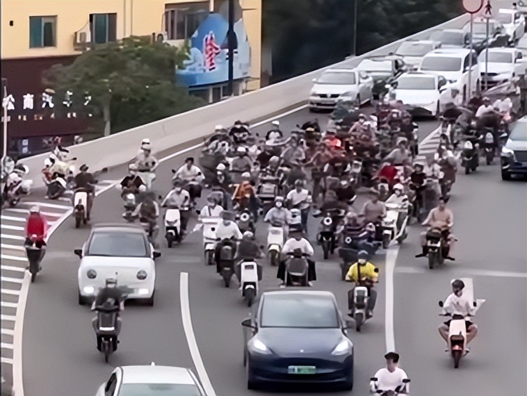 百日整治、举报有奖，能解决广州“*鸡电**围城”乱象吗？