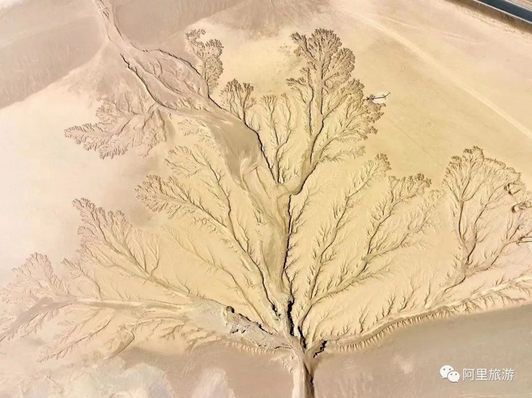 西藏最近很火的大地之树,网红大地之树