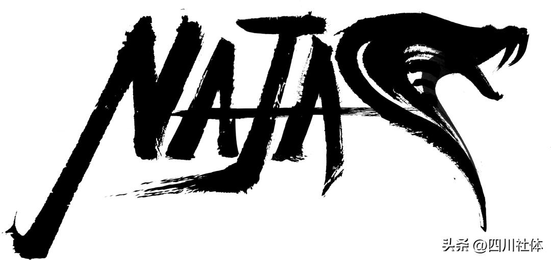 中国飞盘联赛总决赛成都落幕,2023中国飞盘联赛成都总决赛