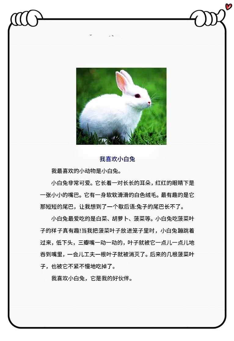 二年级下册我想养一只小动物作文,二年级语文我最喜欢的小动物写话