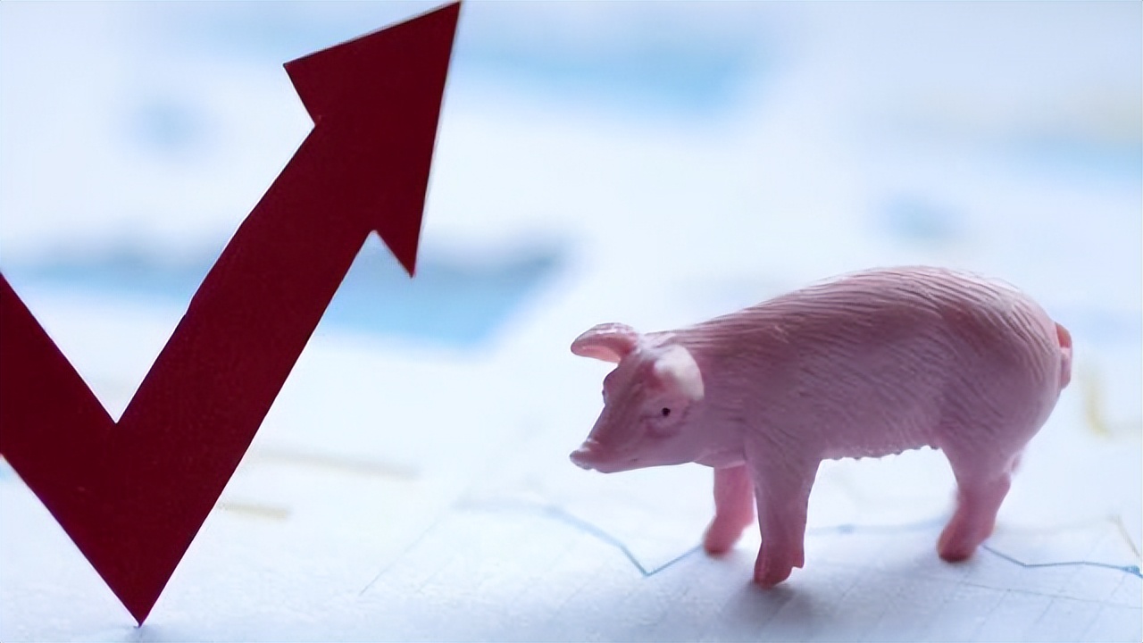 猪价低为什么还进口猪肉,中法签下大单后欧盟内部的反应