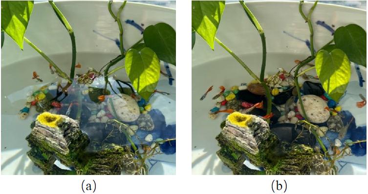 偏光太阳镜和防眩光有什么区别,日夜两用的太阳镜防不防眩光
