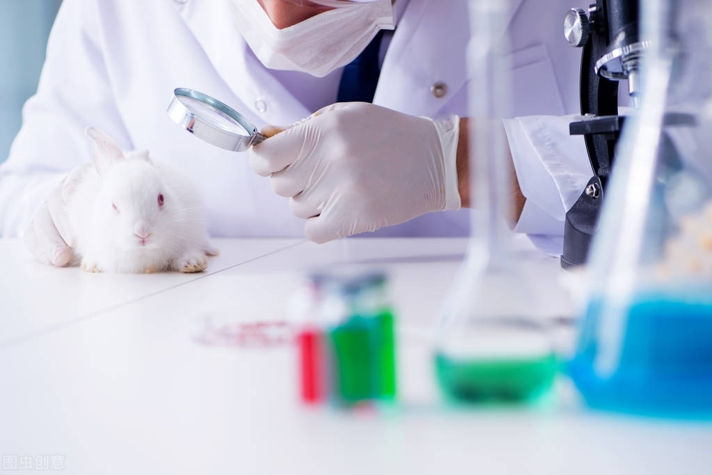 二本填志愿选学校重要还是选专业,高考志愿选大学从哪些方面入手