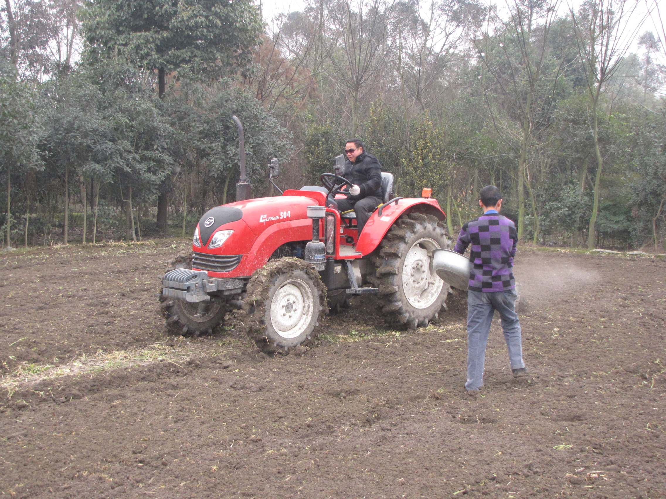 洞洞姜的底层怎么处理,洞洞姜处理方法
