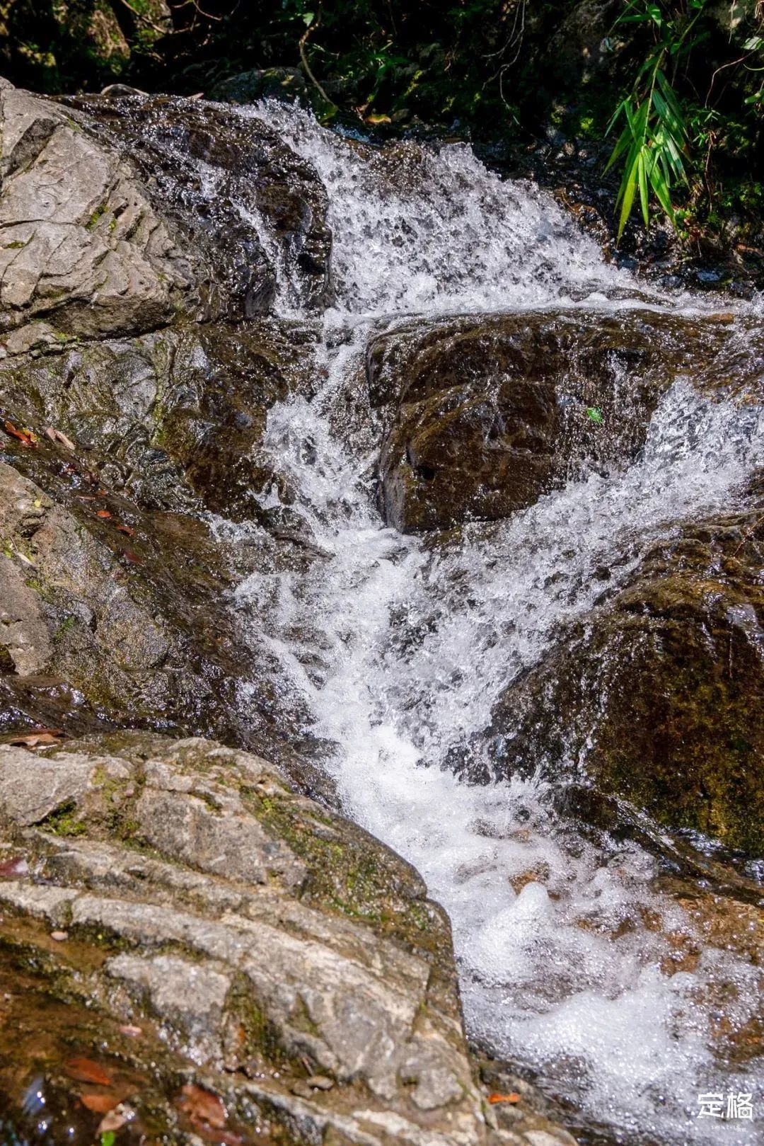 2022深圳10个小众打卡地免费游玩,深圳值得打卡的旅游地