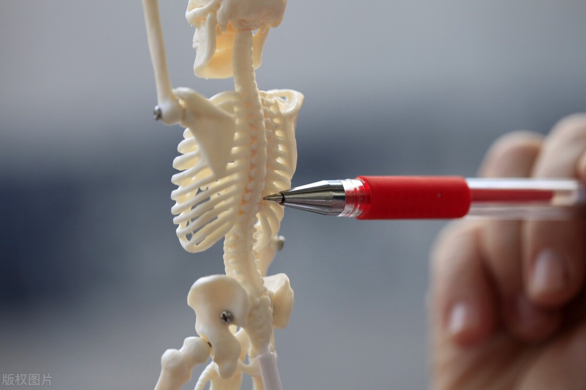 腰椎间盘突出会影响性能力和排尿吗？医生告诉你答案